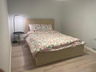 Central apartment Oradea - Oradea - 5