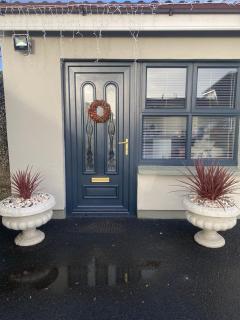 Castletroy Apartment - Limerick - 1