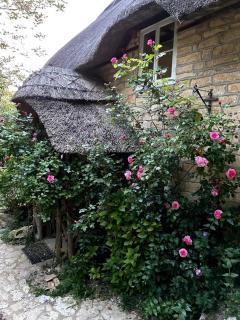 Picture Postcard Dorset Cottage sleeps up to 6 - Stour Provost - 9