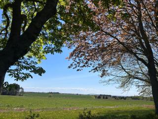 Garden View near Confederation Bridge and Beaches - 5