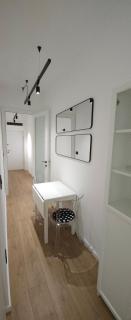 Don apartment Dorcol - 5