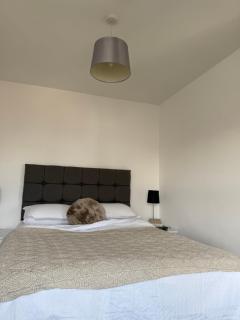 Birmingham City Centre-2 Mins to Station, City Views - Birmingham - 8