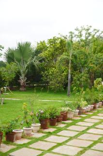Verde Vista Farm & Resort, Indore - 7