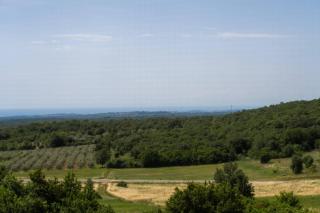 Villa Lilly - 8