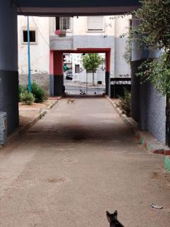 Casa Hasna - 1
