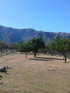 La Porteña - Cortaderas - 8