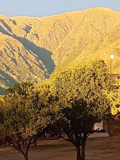 La Porteña - Cortaderas - 7