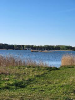 Deine Ruhe Oase mit Waldblick - 1