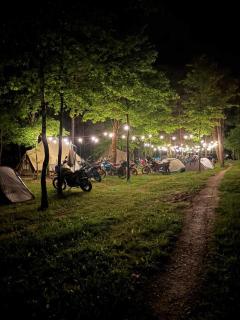 Leśne zacisze-pole namiotowe - 8