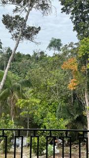Refúgio na Floresta - 8