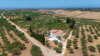 Casa Vacanze Don Alfonso - 0