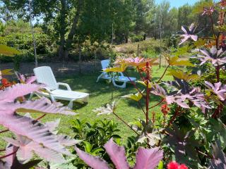 Villa Laurus - Torre dell'Orso - 8