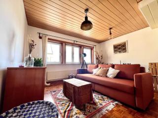 Cosy haven in Aalst with terrace a green haven - 9