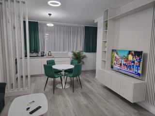 XCity Apartment - Timişoara - 8