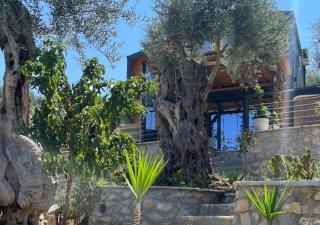 Villa Tramonto D'Oro - 4
