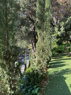 Top Location- Panoramic Villa with Montecarlo Views and Pool - 3