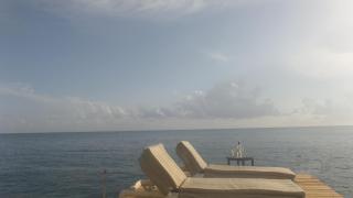 Water Lovers Paradise! - 8