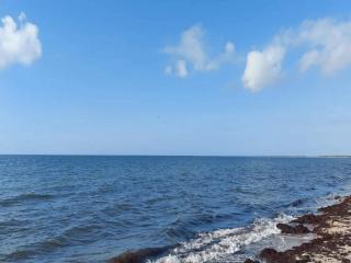 10 person holiday home in Rødby-By Traum - 2