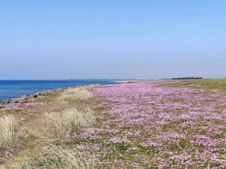 10 person holiday home in Rødby-By Traum - 4