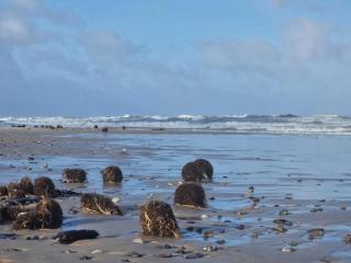 6 person holiday home in Henne - 2