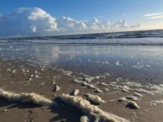 6 person holiday home in Henne - Henne Strand - 3
