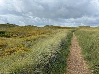 6 person holiday home in Henne - Henne Strand - 7
