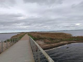 7 person holiday home in Ringkøbing - 4