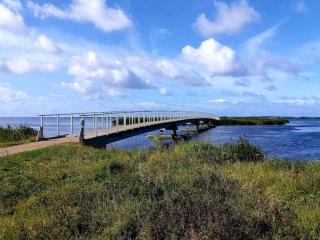 7 person holiday home in Ringkøbing - 1