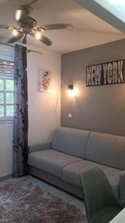 Grand F2, spa, jardin, parking - 6