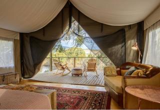 Truffle Lodge Glamping - Gretna - 9