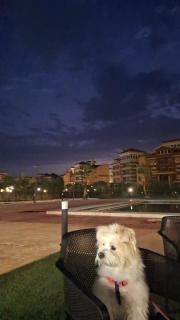 Porto sharm Vip - 0