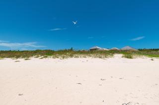 The Beach Bungalow - One home - 4