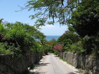 Bohemia Two Bedroom home - James Cistern - 6