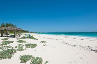 Endless Summer home - 7