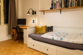 Artistic Apartment in the very Center of Prague - Prag - 7