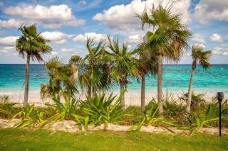 Wild Orchid 3 Bedroom home - 3