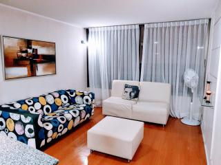Home Valdivia Providencia - 4