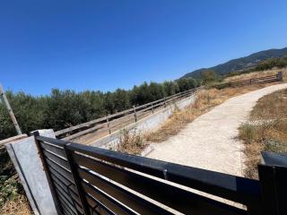 Private Parking for Cars, Vans, Campers, Bus, RV, Trailer & Caravan with Easy Access to Expressway & Main Road - Quiet Location with Mountain Views, Near the Beach, with 2 Lose Guard Dogs, No Water or Electric, No Shower or Toilet - Self Check-in - 7
