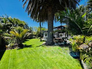 Waikanae Olde Beach Palm Cottage 2 min to Beach - 4