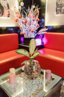 Aikiko House - Davao City - 7