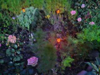 Kazbegi Guest House - Kazbegi - 7