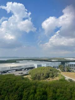 Flat Carioca Millet - 3