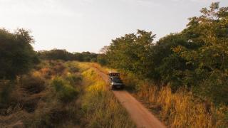 Wilds Wilpattu - 1