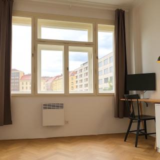 Artistic Apartment in the very Center of Prague - Prag - 2