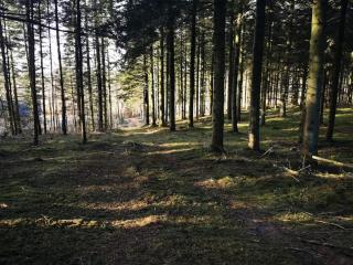 8 person holiday home in Løgstør-By Traum - Løgstør - 1