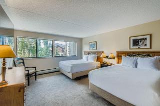 2 Bedroom Beaver Run Condo, Ski-in Ski-out, Dog Friendly, On Peak 9 - 7