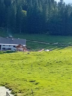 Koča na Kranjski dolini Krnica 93 a,Pokljuka - 6