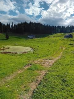Koča na Kranjski dolini Krnica 93 a,Pokljuka - 8