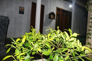 Lilly resort anuradapura - Anurâdhapura - 4