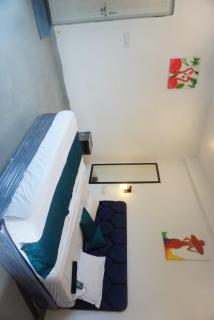 Bhanwar villa home stay - 7